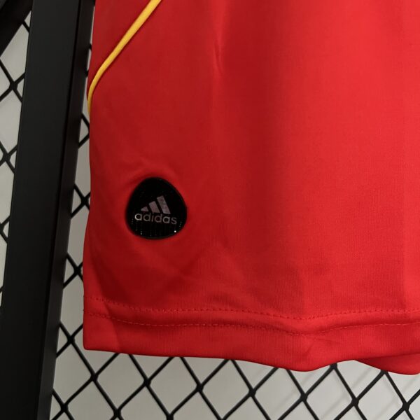 Maglia Spagna Euro 2008 campioni