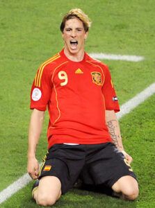Torres Euro 2008