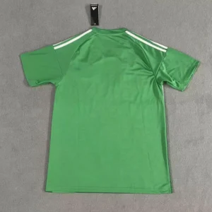 Maglia Newcastle United 2025-2026 Verde con numero