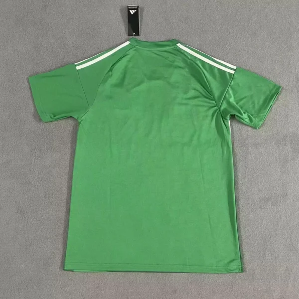 Maglia Newcastle United 2025-2026 Verde con numero