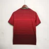 Maglia Portogallo Mondiale 2014 Ronaldo con numero