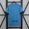 Maglia retrò celeste FC Barcelona 2015-2016 con numero