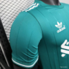 Maglia verde Liverpool 2025-2026 manica